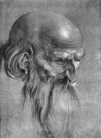 Albrecht Durer Head of an Apostle Looking Downward oil painting image